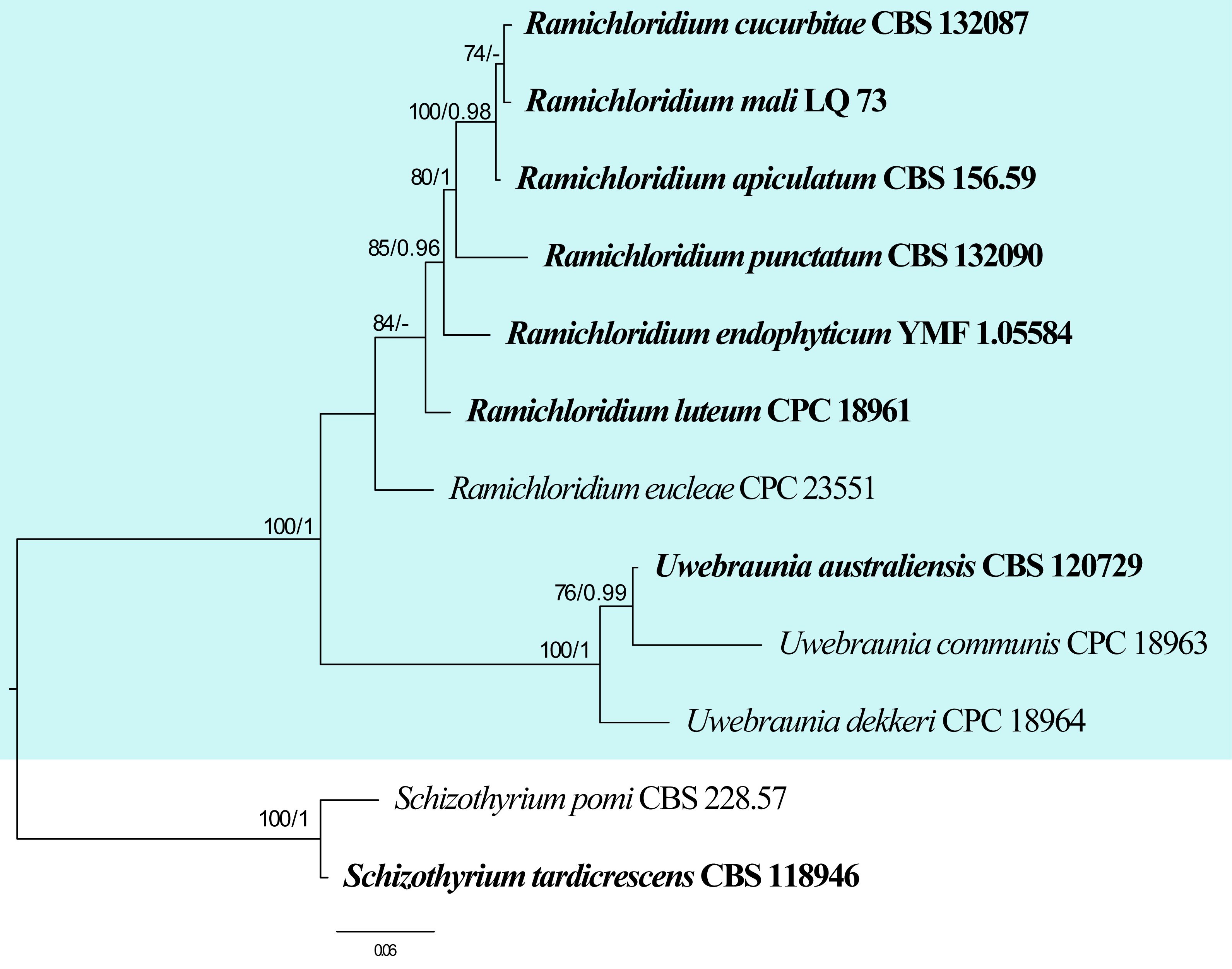 Figure 40